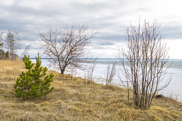 The coast of the Ob river with melting ice