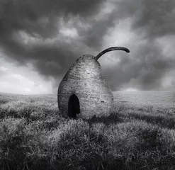 Foto op Plexiglas Loneliness Landscape © vali_111