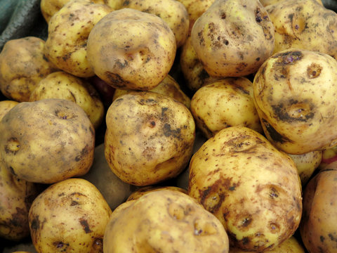 Peruvian Potatoes background