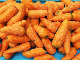 fresh carrots background