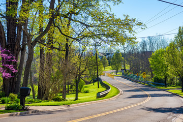Picturesque road curving through residential areas in early spring sunlight - obrazy, fototapety, plakaty