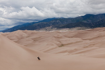 Sand Dune Sandboarder
