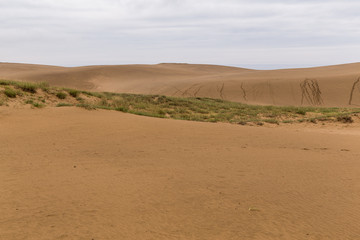 Fototapeta na wymiar Tottori Sand Dunes in Japan