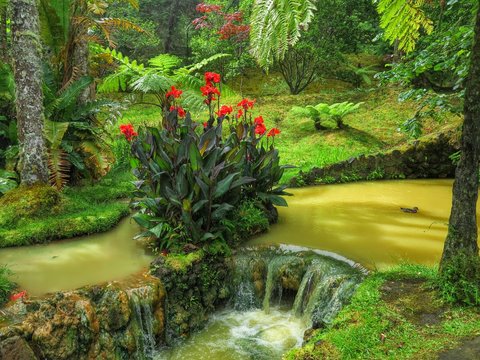 Furnas Gardens, Azores