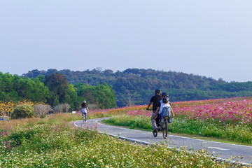 Obraz premium Park ,Singha Park Chiang Rai ,Chiang Rai, Thailand