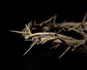 Crown of Thorns