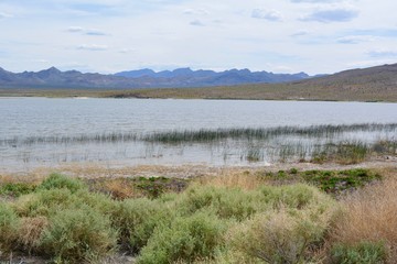 Fototapeta premium Pahranagat National Wildlife Refuge Nevada