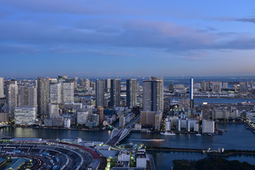 Naklejka na ściany i meble Tokyo cityscape with dense buildings at dusk 