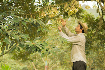 Asian farmers are developing garden farms.