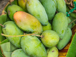 Ripe mango