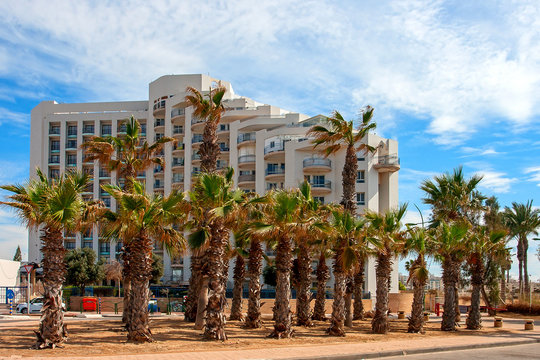 Ashkelon summery coastline with palm trees