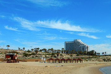 Ashkelon summery coastline with palm trees