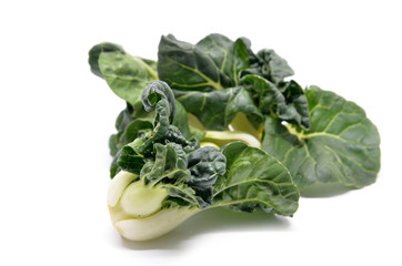 Milk cabbage bok choy