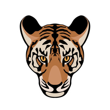Tiger  face  vector illustration style Flat