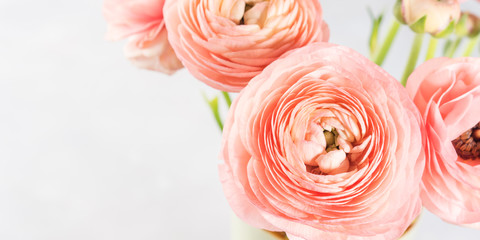 Beautiful pink ranunculus bouquet. Woman mother's day wedding. Holiday elegant bunch of flowers. - obrazy, fototapety, plakaty
