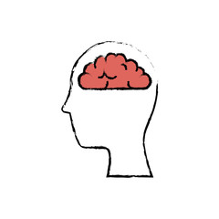 head with brain organ icon over white background. colorful desing. vector illustration