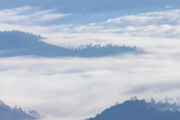 Morning Mist and Fog Moving Slowly From View Point in Sunrise Time at Doi Luang Chaing dao , High Mountain in Chiangmai , Thailand

