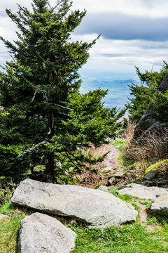 A Hike in the Mountains of North Carolina
