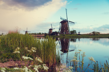 Landscape with tulips, traditional dutch windmills and houses near the canal in Zaanse Schans, Netherlands, Europe.