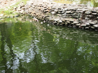 Small stone dam tropical garden
