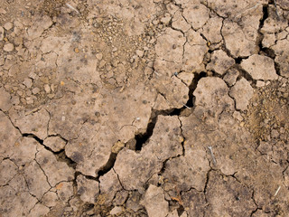 Dry land. Cracked ground background.