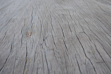 Wood Texture