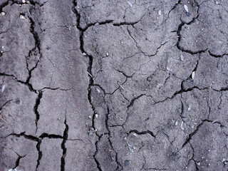 Cracked cement texture