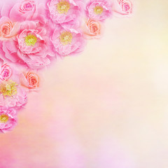 Pink roses flower border background with copy space for text. Idea for wedding card, love, valentine or any special events 