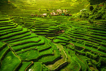 Batad Rice Terraces in Northern Luzon, Philippines. - Powered by Adobe