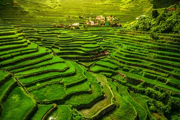Foto auf Acrylglas Asien Batad-Reisterrassen im Norden von Luzon, Philippinen.