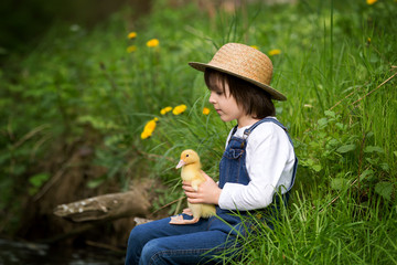 Sweet child, playing on little river with ducklings © Tomsickova