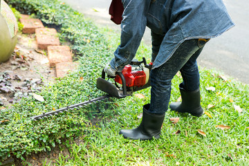 man trimming hedge with trimmer machine
