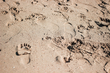 Many human footprints on the beach