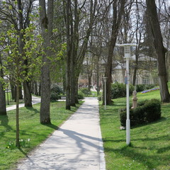 In the month mai in the spa park of bad steben, germany bavaria