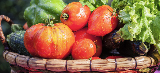 view of wet vegetables
