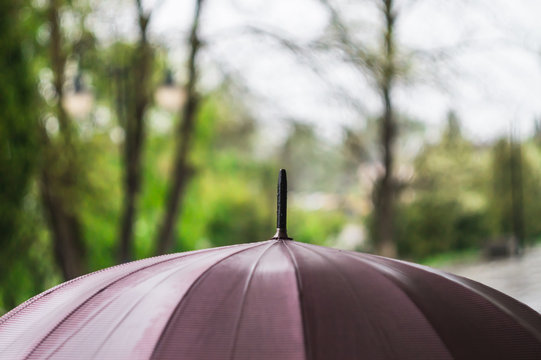 Umbrella in the rain