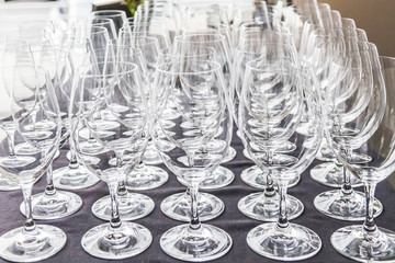 wine glasses lined up for wine tasting
