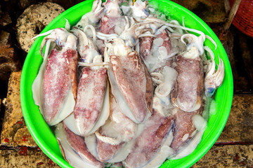 Fresh squid and seafood in market