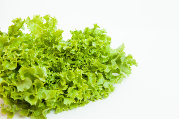 Obraz na płótnie Canvas Green kinky salad isolated on white background. Daylight, open space for your text.