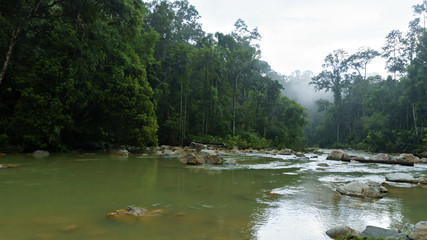Fototapeta na wymiar viewing the river in the jungle of tropical rainforest in Taman Negara Johor, Malaysia