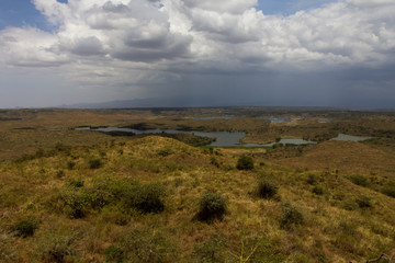 Fototapeta na wymiar Lake in safari in Tanzania