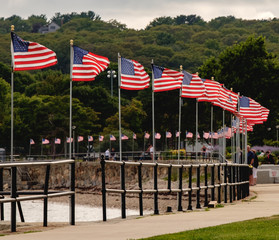Curve of Flags