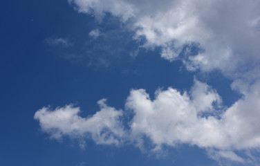 Fototapeta premium 青空と不思議な雲「空想・雲のモンスターたち」爽快、爽やかなどのイメージ