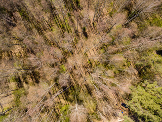 drone image. aerial view of rural area with fields and forests