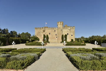 castillo de aguijuelas de abajo