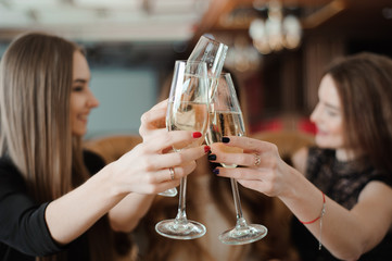 Portrait of happy young friends touching the glasses with each other