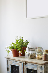 vintage design cabinet filled jars and green herbs