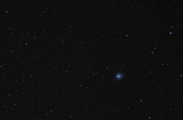 M101 Pinwheel Galaxy