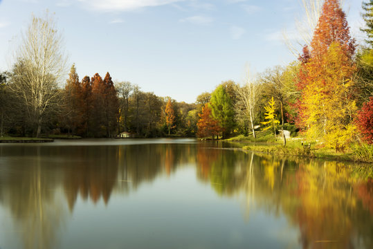 Autumn, also known as fall.Some cultures regard the autumnal equinox as "mid-autumn".