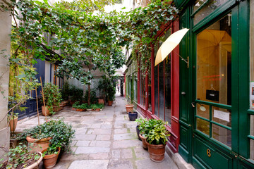 Hidden street with plants and flowers in Paris